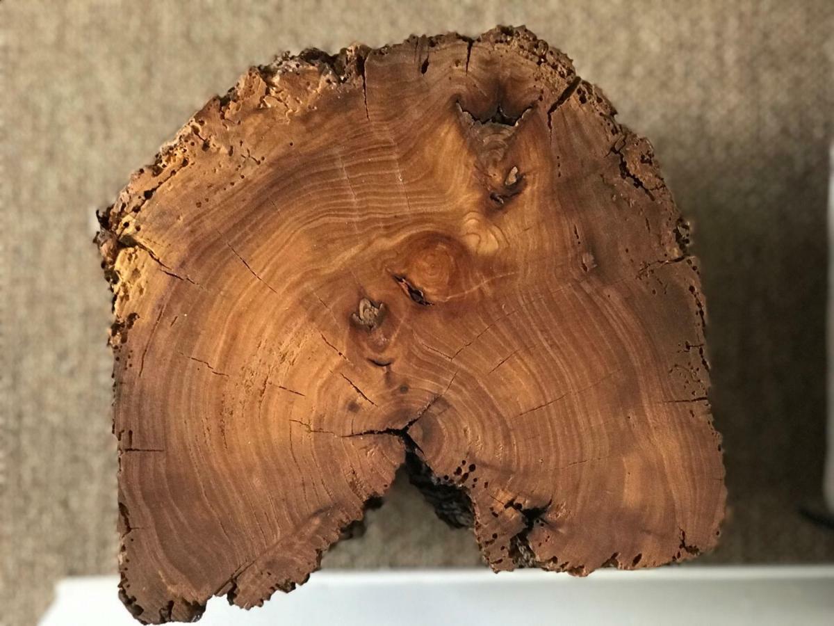 Zn Lodge فيداغو المظهر الخارجي الصورة